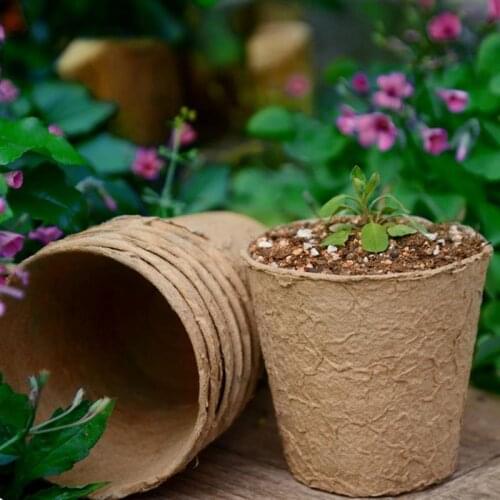 50PCS Plant Peat Pot Creative Round Natural Seed Starter Pot Plant Starting Pot