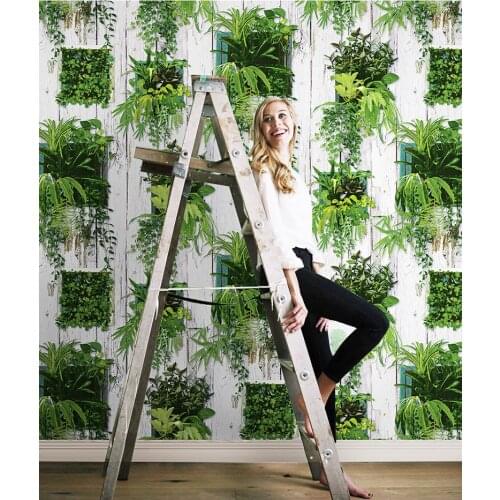 Nordic style green, white wood grain wallpaper fruit restaurant cafe clothing store background wallpape