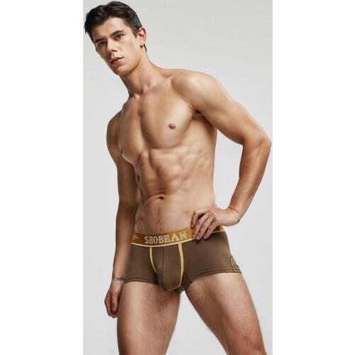 2020 Brand Mens Solid Underwear Cotton Boxer Shorts Sexy Young Boys Low Waist Boxers