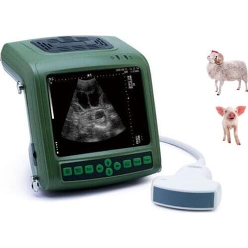 5.7 Inch LCD Screen Sheep Sonar Scanner PIG Pregnancy Tester Veterinary Portable Scanner SHEEP Fetus Test Animal Sonar MACHINE