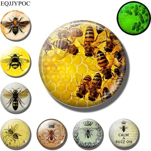 Glowing Bee fridge magnet Luminous Honeybee Mosquito Insect Animal Glass refrigerator magnets Stickers message board Home Decor