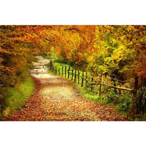 Square drill modern home decor diy diamond painting Maple Park fall Landscape needlework full diamond embroidery painting A6657R