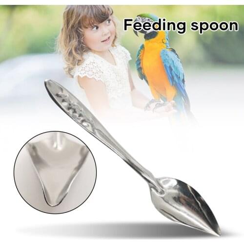 New Hot Stainless Steel Birds Feeder Spoons Parrots Feeding Scoops Hand Feeding Spoons for Parrots SMR88