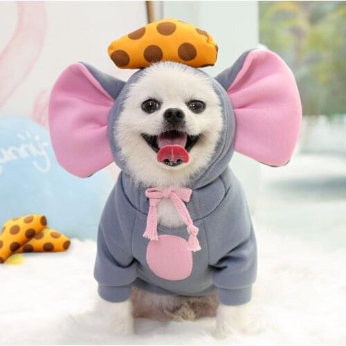 Jackets For Dogs WINDRHYMEPET China