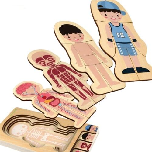 Montessori Wooden Boys Girls Body Structure Puzzle Cognitive Human Body Teaching Aids Educational Toys for Children