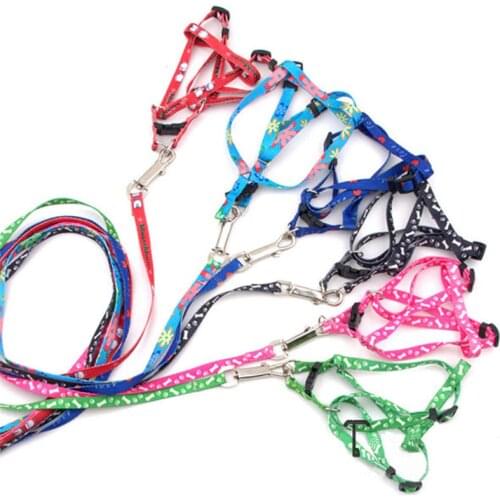 Adjustable 1CM Print Rope Small Pet Dog Cat Rope Collars & Lead Leash Harness Chest Strap Pets Leads Random Color