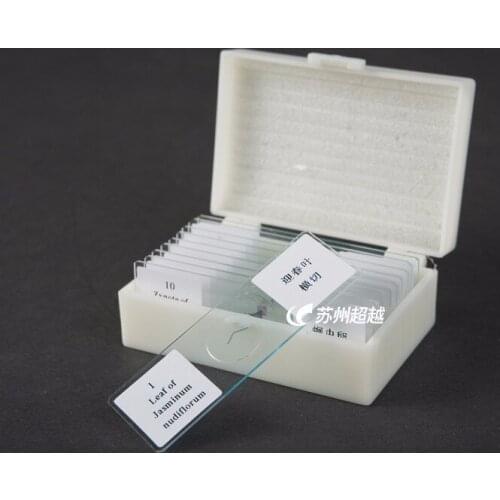 Free shipping Microscope slide slice 11 pcs/ set were mounted box