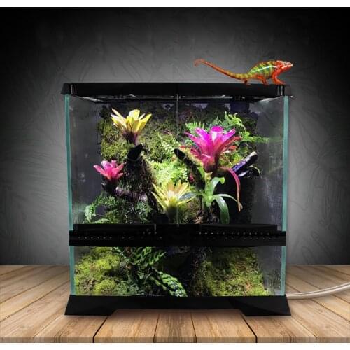 Glass Rainforest Landscaping Ecological Tank Tropical Plant Cylinder Reptile Lizard Gecko Chameleon Rearing Bin Box Tank Black