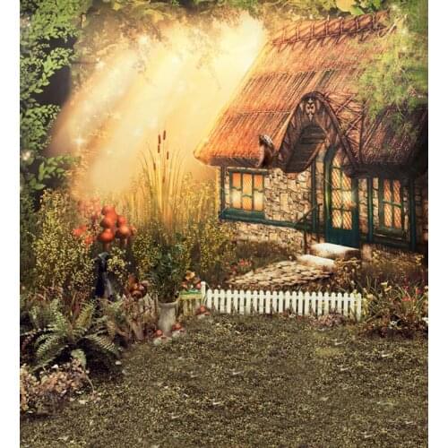 Photography scenic backdrops fairy tale style wood house stone road photo background for photo studio 200x300cm