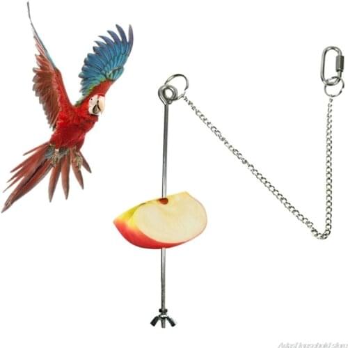 Stainless Steel Bird Chicken Veggies Skewer Food Fruit Holder for Hens Hanging Vegetable Feeder Foraging Toy Bird Treat Dropship