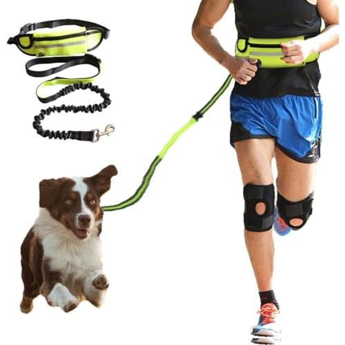 Pet dog stretch belt running traction rope set free dog rope traction rope collar pet accessories puppy dog leash traction belt