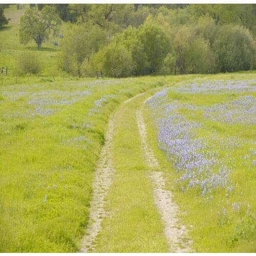 TR Photographic Background Forest Backdrop Meadow Flower Free Nature Background Children Baby Studio Scenic Backdrops 10x10ft