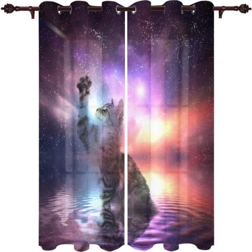 French Window Curtains Animal Cat Starry Sky Living Dining Room Kids Bedroom Screens Modern Luxury Home Decor Valance Curtains