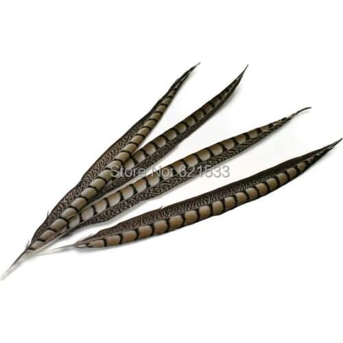 Long Pheasant Feathers,100Pieces-14-16" 35-40cm NATURAL Lady Amherst Pheasant Tail Feathers,pheasant tail feathers