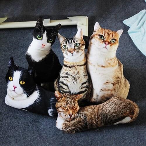 50cm Simulation Three-dimension Stuffed Pillow Cute Cat Plush Toy Children Doll Kids Educational Toys for Children Gifts