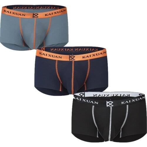 3PCS Men Modal Boxer Shorts Seamless Slip Homme Underwear Sexy Bugle Pouch Boxershorts Gay Panties Calzoncillo Tanga Bikini