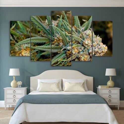 5 piece canvas art print plantes poster weeds picture paintings for living room wall decor