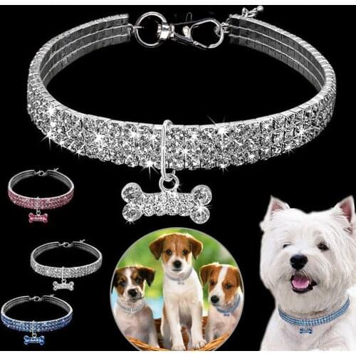 Bonytain Products For Dogs