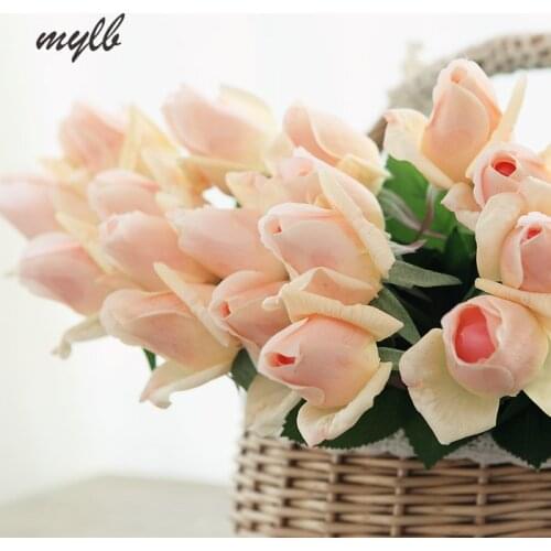 Mylb Artificial Compositions