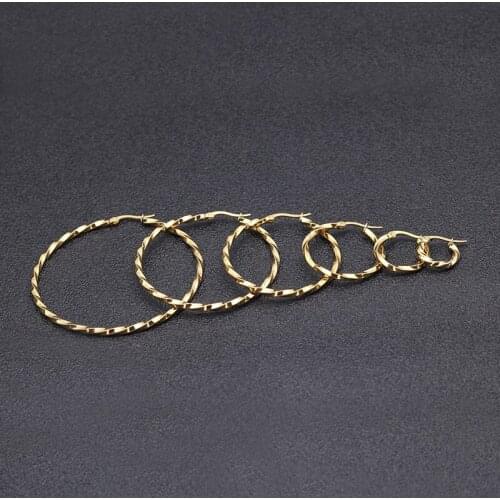Twisted Big Small Hoop Earring Gold Round Ear Ring For Women Stainless Steel Statement Circle Earring Fashion Jewelry Brincos