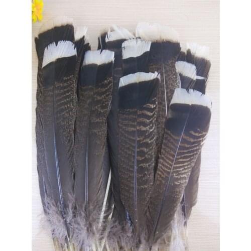 Wholesale 10-1000 pcs 10-13 inches / 25-33 cm high quality natural turkey feather, diy jewelry decoration