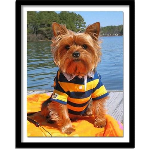 Full Square Diamond 5D DIY Diamond Painting "Animal Lovely Dog" Embroidery Cross Stitch Rhinestone Painting Decor Gift