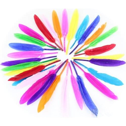 QiEWia Decorative Feathers