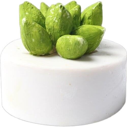 Big Size Succulent Plants Fondant Cake Silicone Mold Cactus DIY Aroma Gypsum Plaster Silicon Mould Candle Molds H995