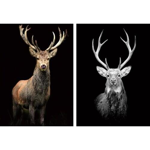 5D Diamond Embroidery diy diamond painting cross stitch animal deer mosaic full square/round drill canvas painting drop shipping