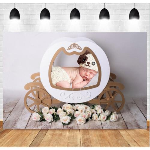 Laeacco Carriage Background Photography Newborn Baby Shower Princess Party Photozone Photographic Backdrop For Photo Studio Prop