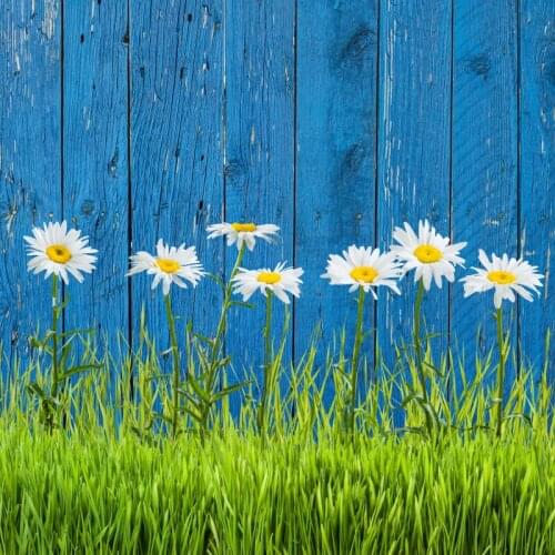 Custom digital Spring green photobackground natural scenic flower studio backdrops,vinyl wood background backdrop wedding XT5251