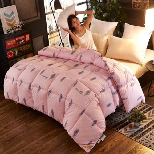 New Pink Down quilt Down Duvet Core Washable Exquisite Fluffy Thick Winter Bedding Warm cotton Feather Quilt for Home Furnishing