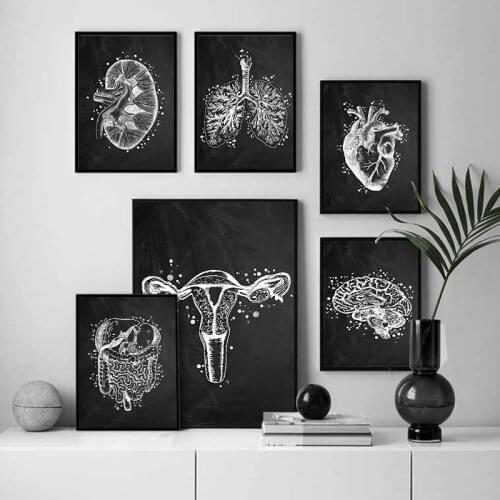 Human Anatomy Vintage Poster Black and White Organs Canvas Painting Wall Art Print Modern Picture Living Room Home Decoration