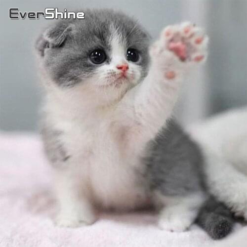 Evershine Diamond Painting Cat Diamond Embroidery Animal Cross Stitch Kit Full Square Round Rhinestones Pictures Home Decor