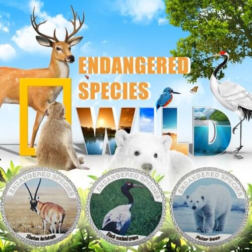 WR New Arrival Endangered Cute Animal Silver Coin 999.9 Silver Plated Metal Coins Challenge Art Crafts Set Worth Collection