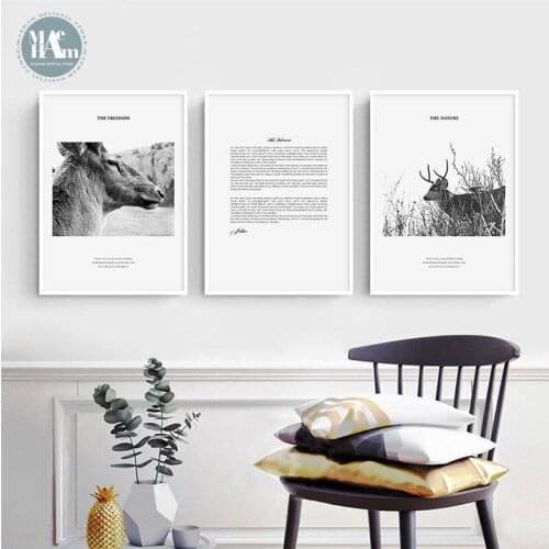 Nordic Black and White animals Horse Elk wall art Canvas posters Painting Prints wall Pictures for Living Room Morden Home Decor