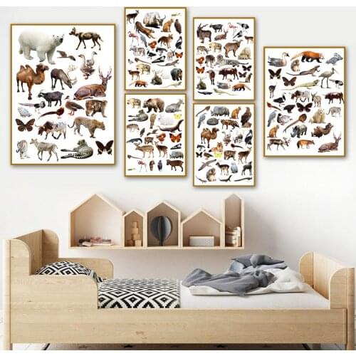 Animals Collection Butterfly Bear Owl Wall Art Canvas Painting Nordic Posters And Prints Nursery Wall Pictures Kids Room Decor