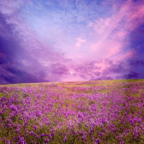 Amazing scenery photo background vinyl purple cloud flower field photography backdrop for photographer studio accessories F-1068