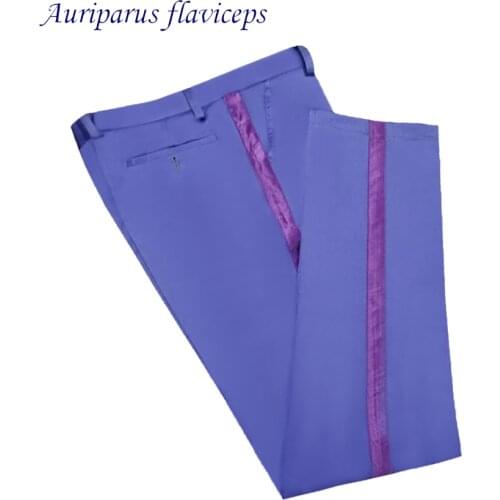 Auriparus flaviceps Mens Wedding Pants