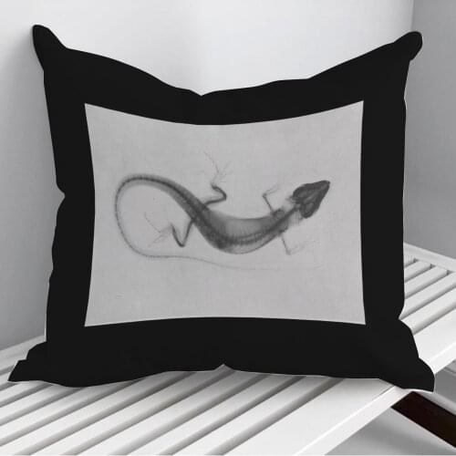 Animal X ray Throw Pillows Cushion Cover On Sofa Home Decor 45*45cm 40*40cm Gift Pillowcase Cojines Dropshipping