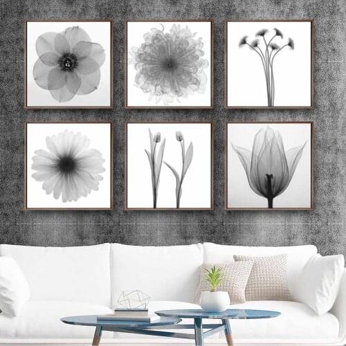 Home Decoration Print Canvas Painting Wall Art Picture Square Poster Unframed Drawings Black and White Transparent Flowers