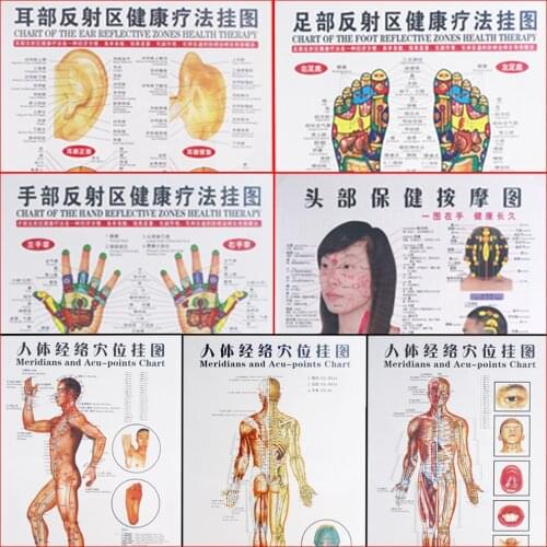7 Pcs Chinese and English posters of moxibustion and moxibustion on acupoints and meridians of traditional Chinese medicine