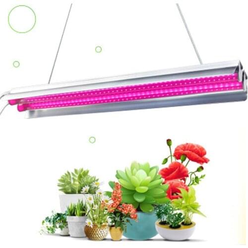 MERHOLE/魅好 Phytolamps For Plants