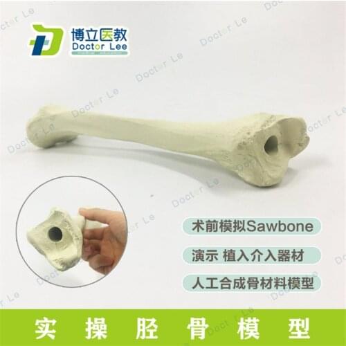 New Material Human Skeleton Model Life Size Tibia Model for Orthopedic Preoperative Exercise and Training