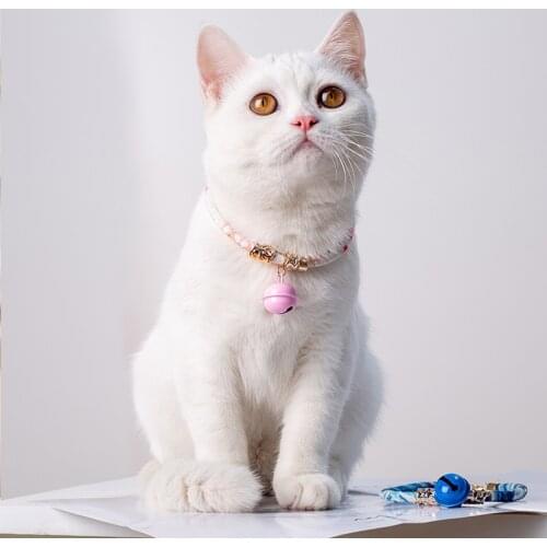 Ошейники QANLANG China At AliExpress