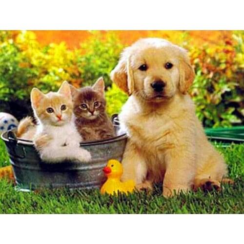 BMBY-Full Round Drill 5D DIY Diamond Painting "Animal Cat and Dog" Diamond Embroidery Cross Stitch Home Decor