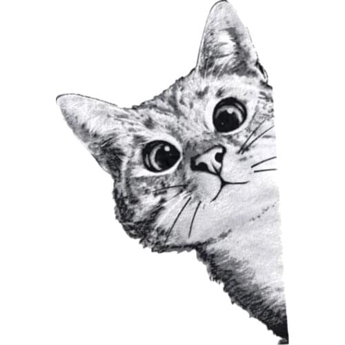 Funny Cat Patch Heat Tranfer Printing Clothes Stickers Large Badge Iron On Patches For Clothing Strange things Christmas gift