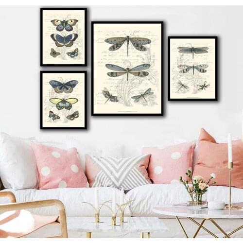 European Style Decorative Vintage Style Entomology Poster Print Butterfly Flies Mosquito Science Wall Art Home Room Decoration