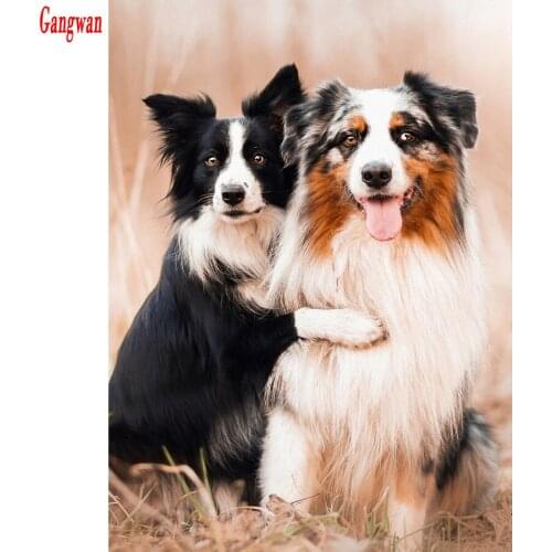 Full diy Diamond painting mosaic diamond embroidery beads Puppy Bernese Mountain Dog animal 5d cross-stitch kits handwork decor