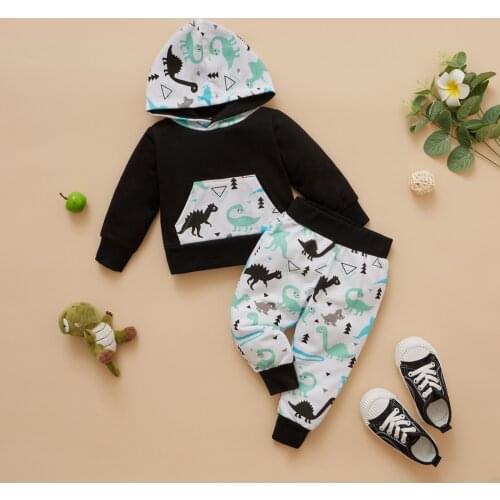 2Pcs Kids Tracksuits, Dinosaur Print Hooded Long Sleeves Sweatshirt + Elastic Waist Casual Pants for Girls, Boys, 3-24 Months